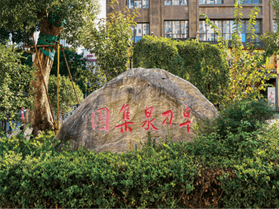 卓刀泉集团